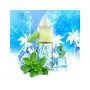 Aroma Concentrato Eliquidfrance - Icee Mint - 10ml