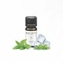 Aroma Concentrato Flavourage – Green Apple – 10 ml