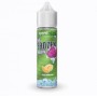 Svaponext - The Frozen Brain - Fuji Melon - Shot Series 20ml