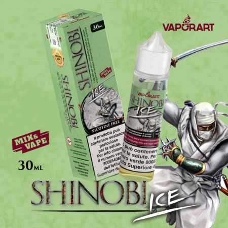 Shinobi Ice - MIX&VAPE 30 ML
