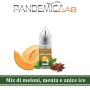 Aroma Concentrato Pandemic Lab – Premium Edition – Melon Punch – 10ml