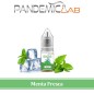 Aroma Concentrato Pandemic Lab – Ice Mint – 10ml