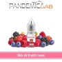 Aroma Concentrato Pandemic Lab – Red Berries – 10ml