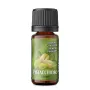 Aroma Concentrato Svaponext - Pistacchioso Cream - 10ml